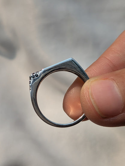 Black Panthera Silver Ring For Men